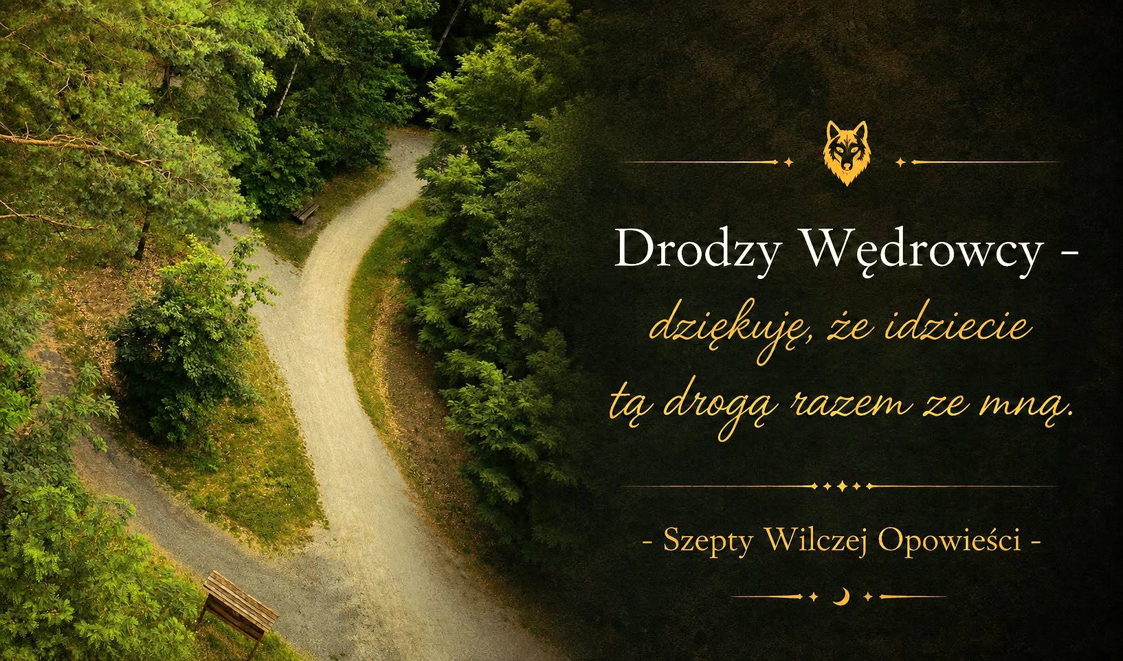Leśna ścieżka widziana z góry z podziękowaniem dla Wędrowców idących tą drogą razem z Autorką